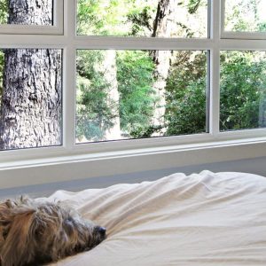 Here Are 7 Benefits Of Double Glazed Windows
